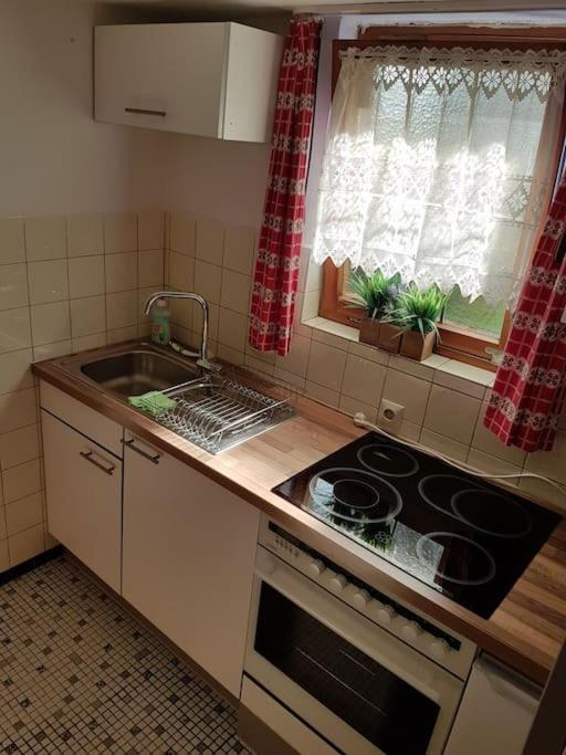 Idyllische Kleine Ferienwohnung Im Schwarzwald Friedenweiler Екстериор снимка
